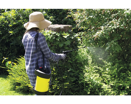 Mesto Flori compacte 3 L drukspuit