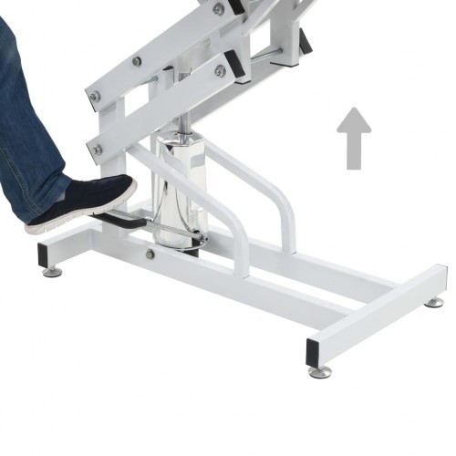 Mesa elevada para tosa de cães