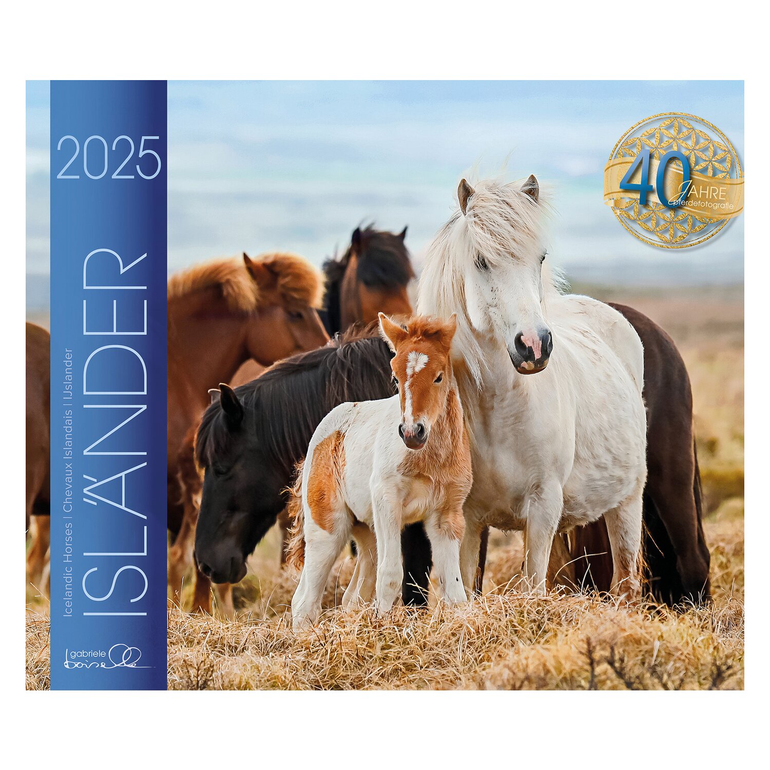 Kalender Isländer  - 2025