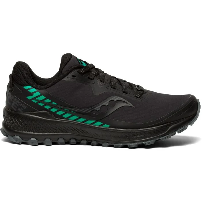 Saucony Dame Trailsko Peregrine ICE+ 2