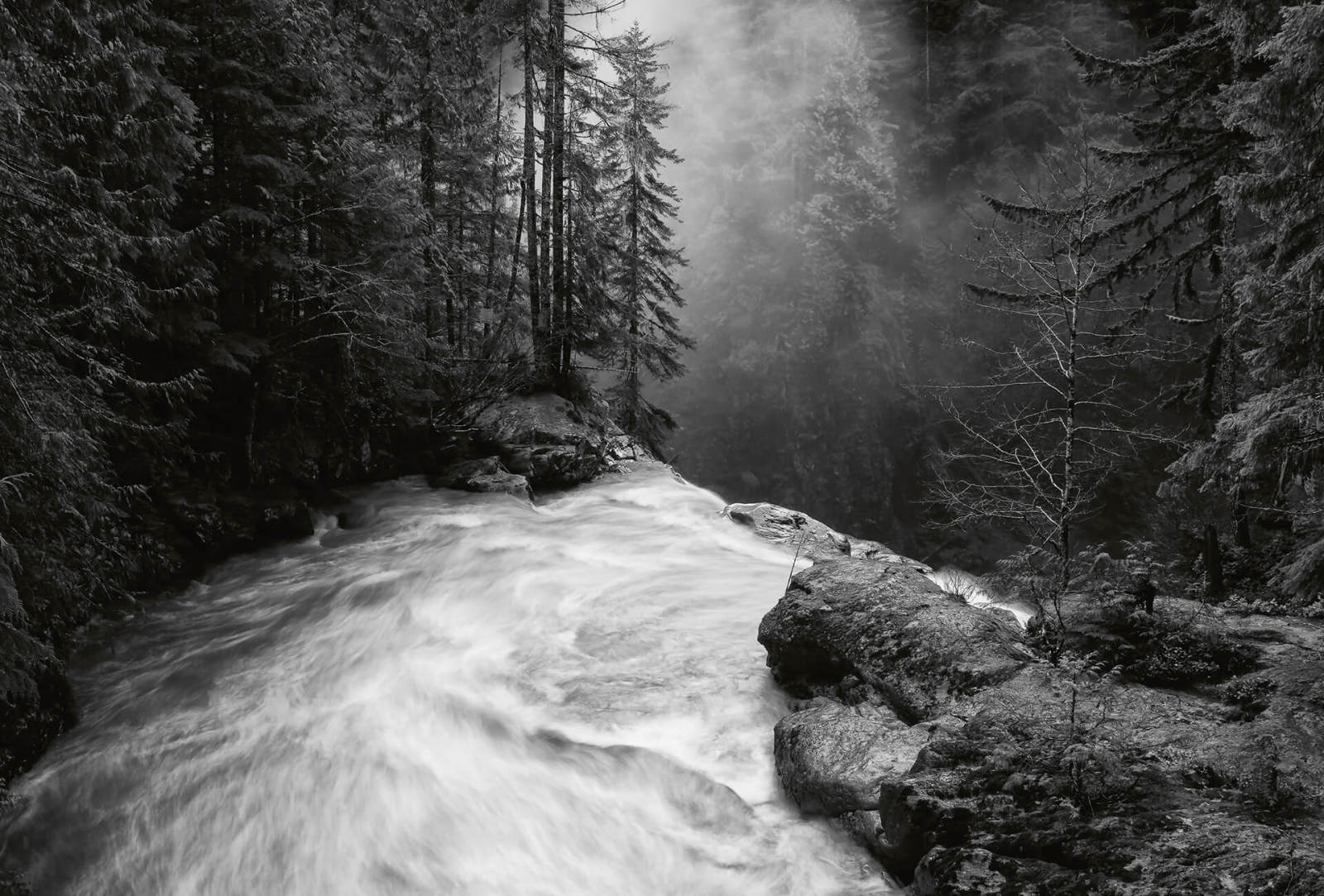 Fototapete DESIGNWALLS 2.0 - schwarz-weiß - Wasserfall - 2,6 Meter