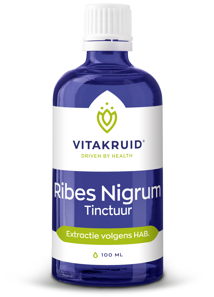 Vitakruid Ribes Nigrum Zwarte Bes Tinctuur 1:10 (100 ml)