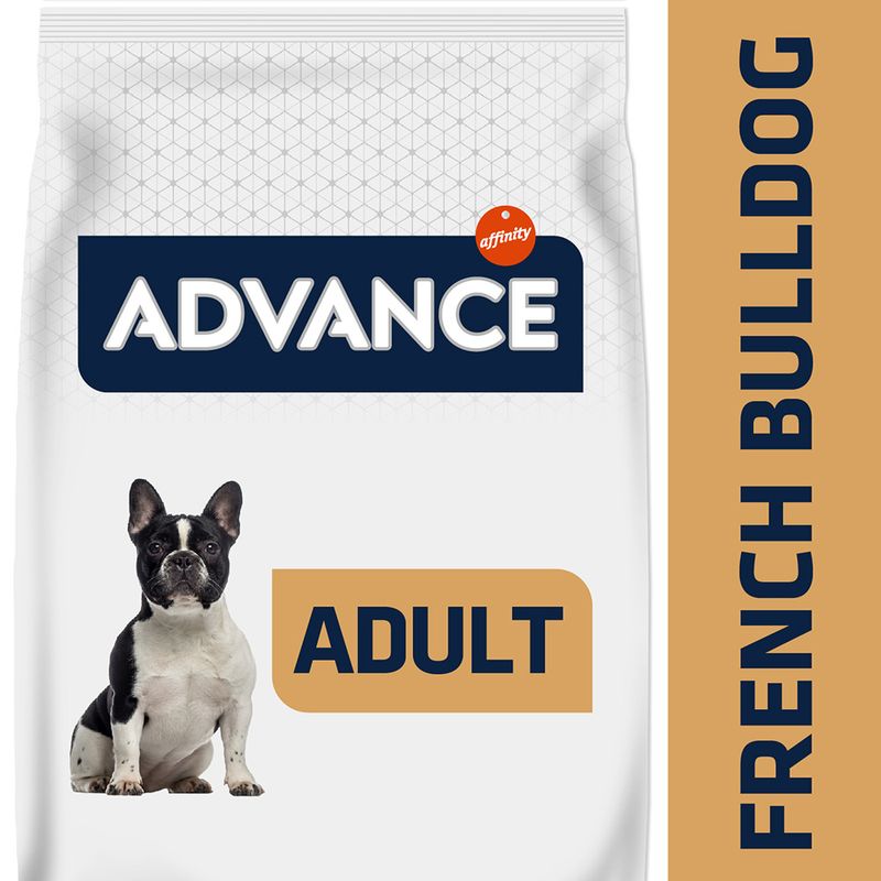 Advance French Bulldog canard
