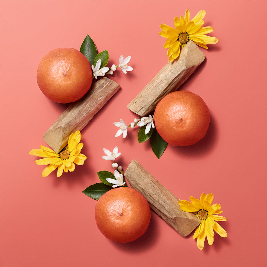 Hermèsistible, Infused Care Oil