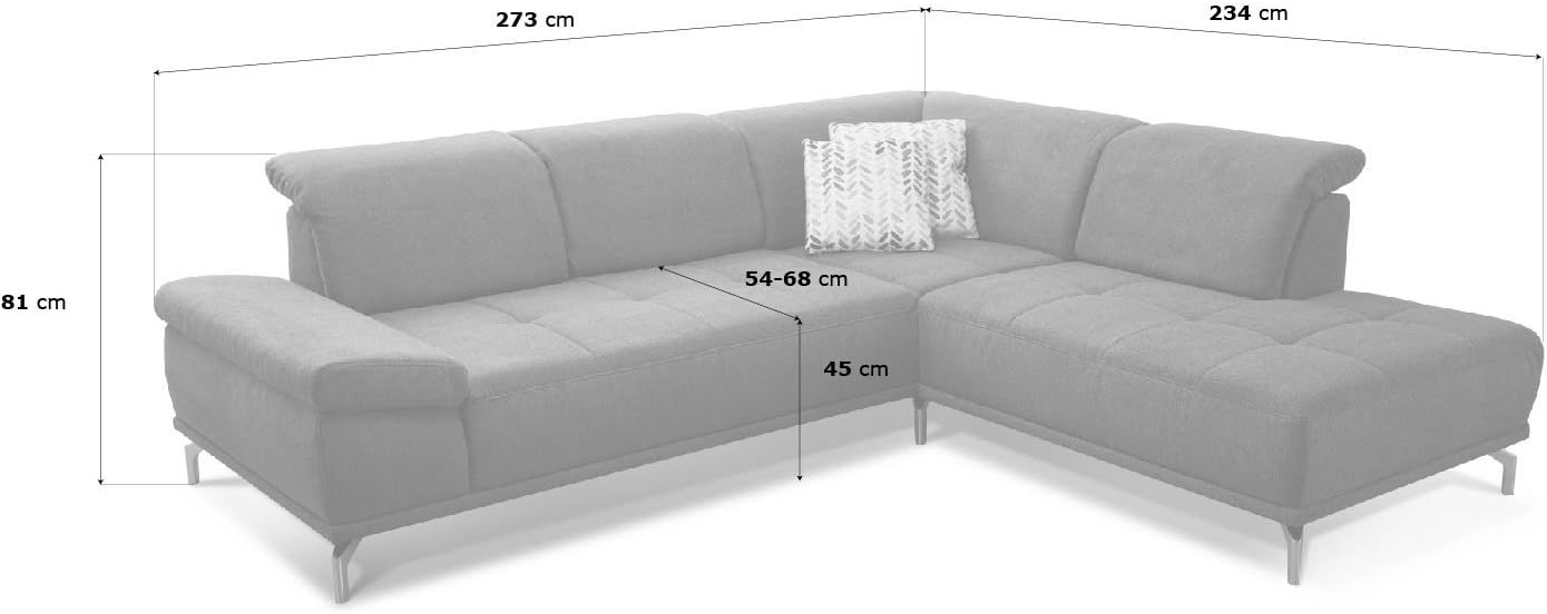 Cavadore Ecksofa Carly mit Federkern, L-Form Sofa mit Kopfteilfunktion und Sitztiefenfunktion im Design, 273 x 81 x 234, Webstoff grau