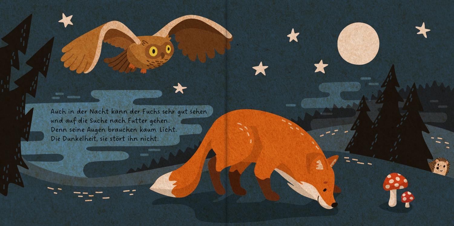 Der kleine Fuchs / Meine Waldfreunde Bd.2