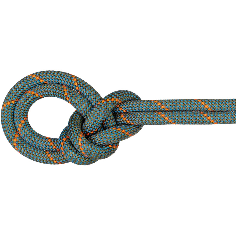 Mammut 9.9 Crag Workhorse Dry Kletterseil