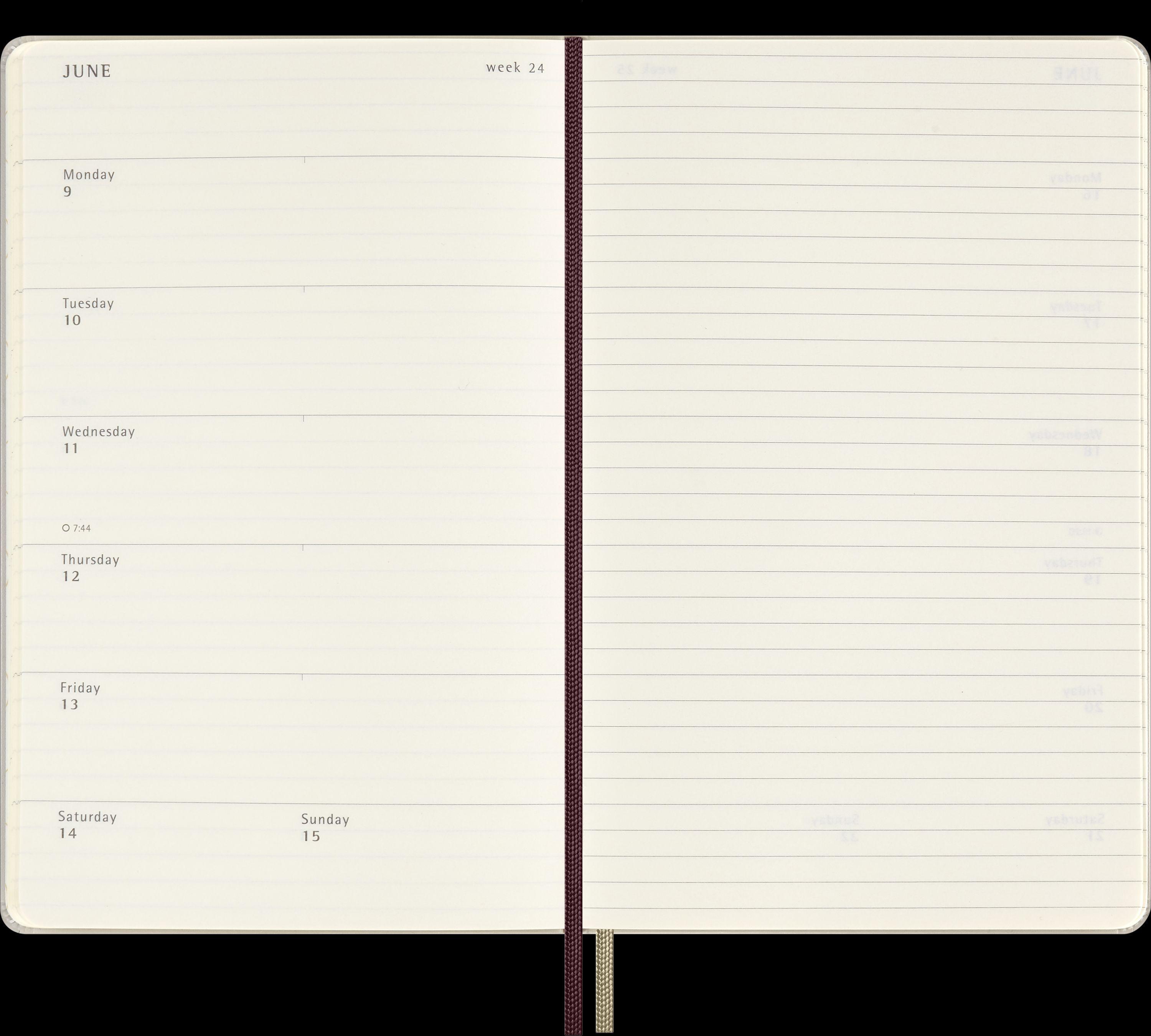 Moleskine Harry Potter Wingdarium 12 Monate Wochen Notizkalender 2025, L/A5