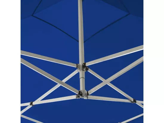 Tente de réception pliable Aluminium 2 x 2 m Bleu
