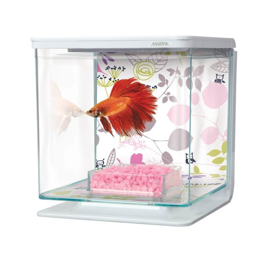 Kit Marina Bettera Marina Betta