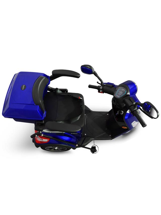E-Trike 25 pro