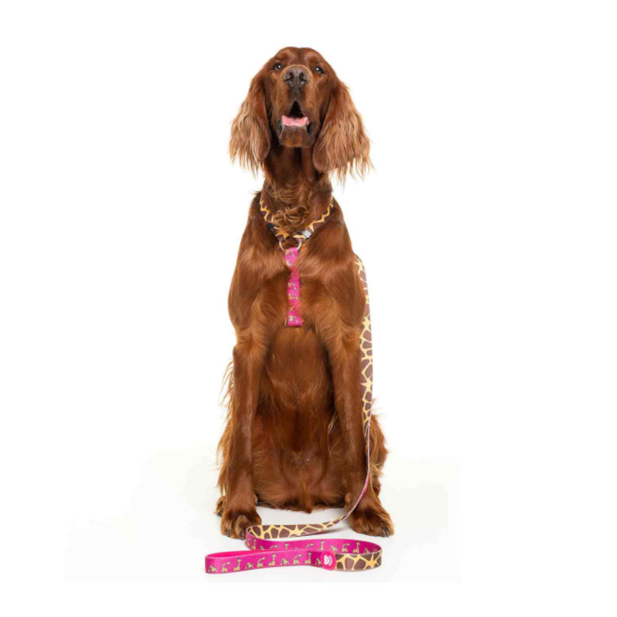 Coleira para cães Dukier Savana Classic com estampa de girafa