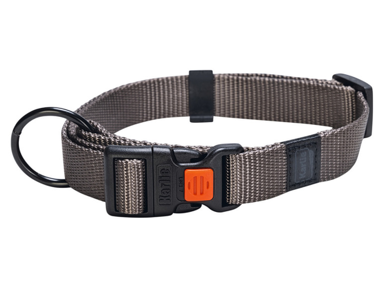 Halsband met lijn