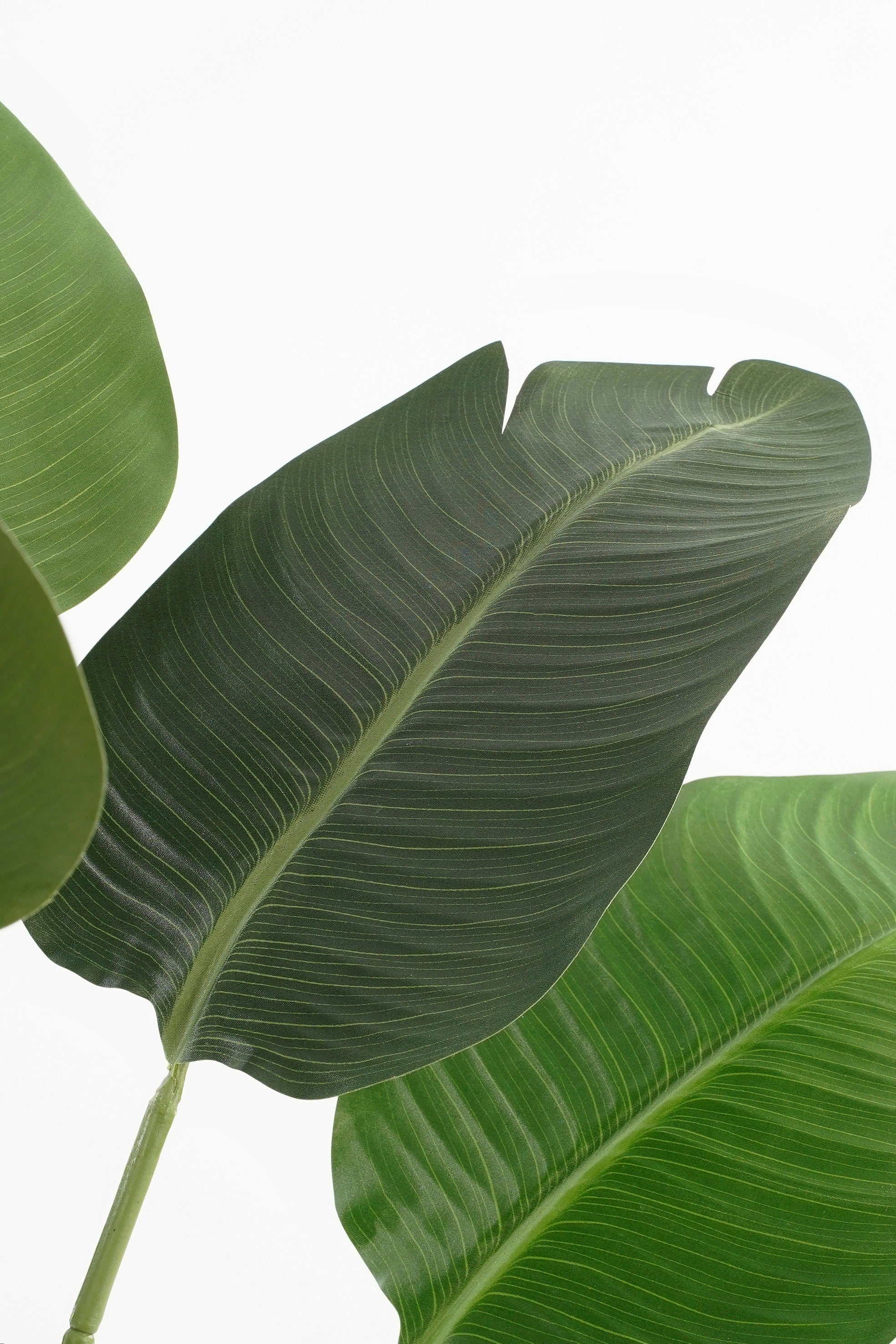 Mica Decorations Bananen boom in pot groen - h180xd30cm
