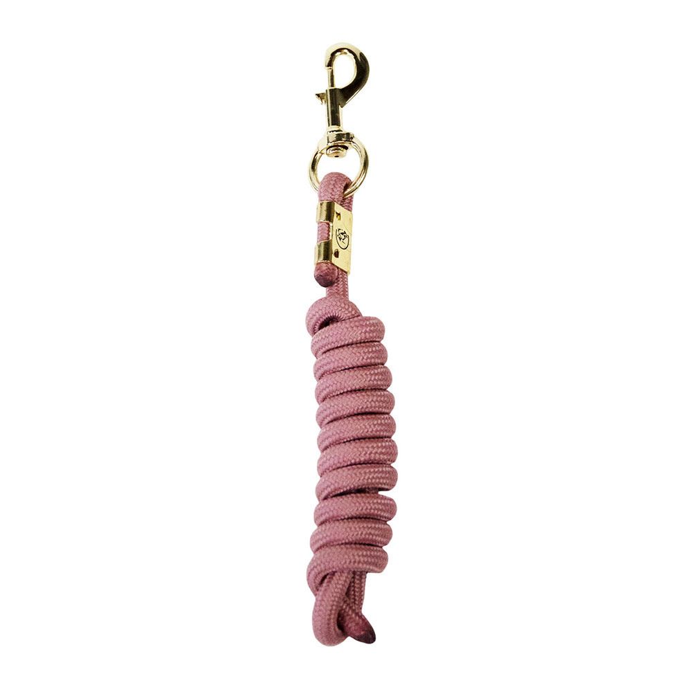 Kentucky BASIC - Longe rose