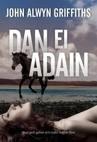 Dan ei Adain (Paperback)