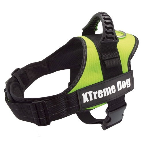Coleira peitoral Xtreme Neon para cães, verde