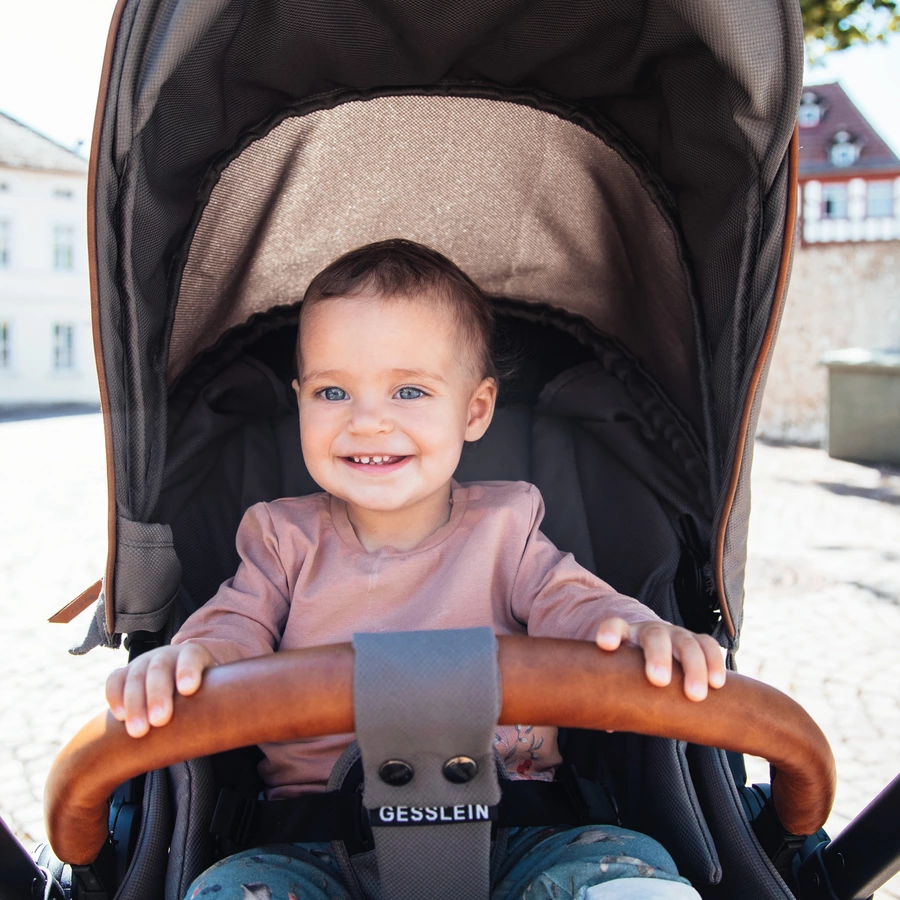GESSLEIN Kombikinderwagen FX4 Soft+ Style Babywannen Set taupe