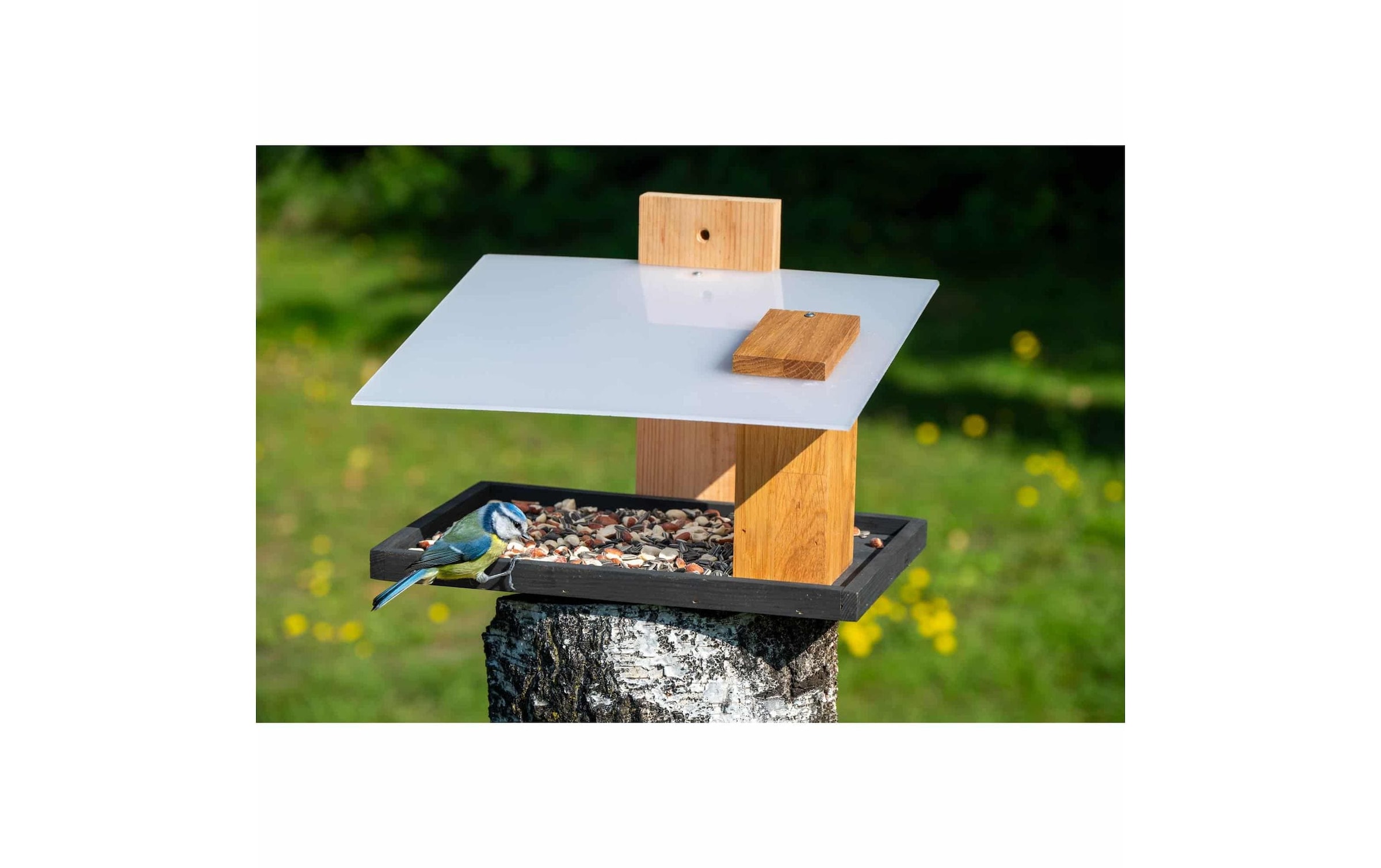 dobar Vogelhaus »Futura I, 35 x 24 x 22 cm, Holz« Holzart: Eiche (Europa)
