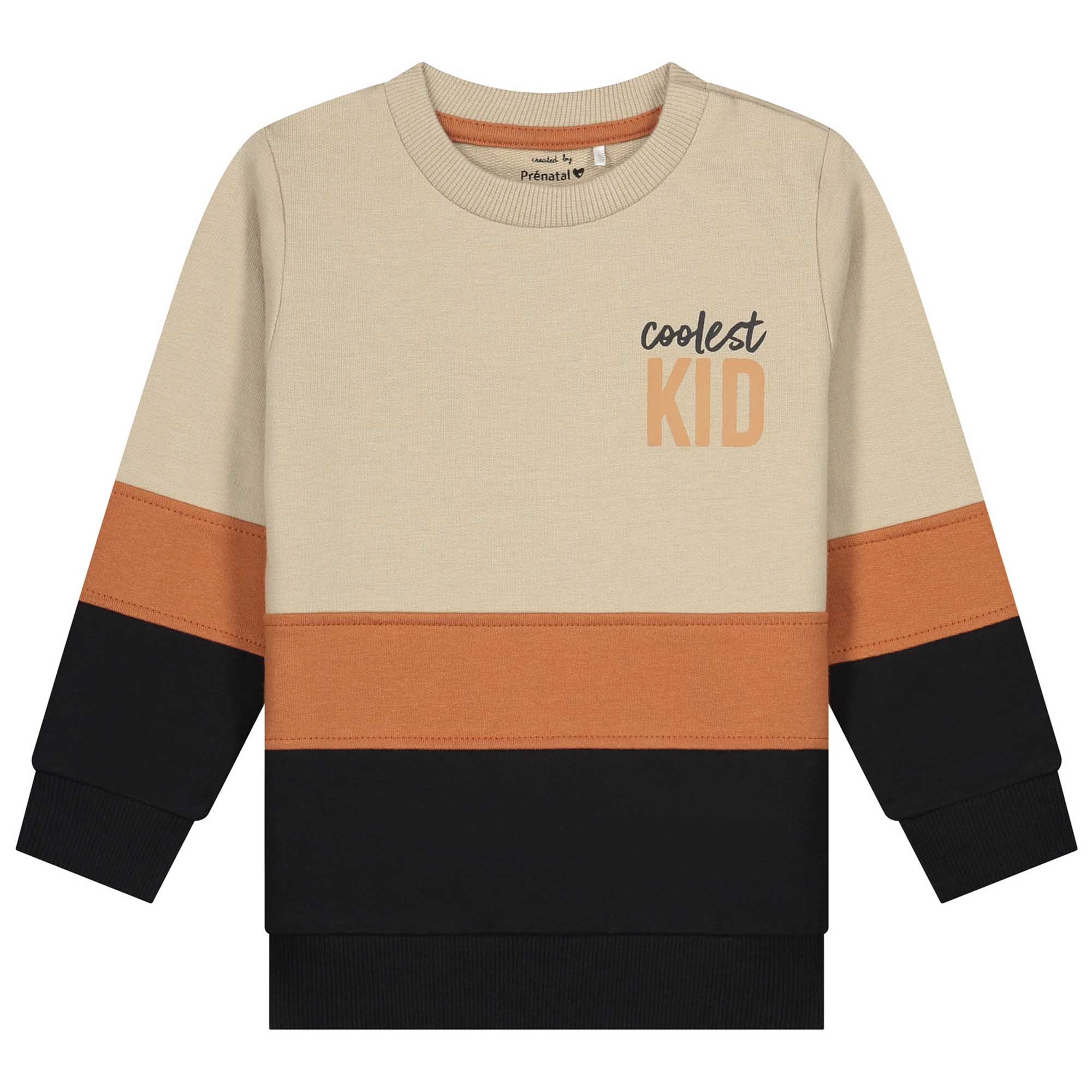 Prénatal baby sweater lange mouwen meerkleurig multi