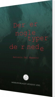 Der Er Nogle Typer Dernede - Antonio Dal Masetto - Bog