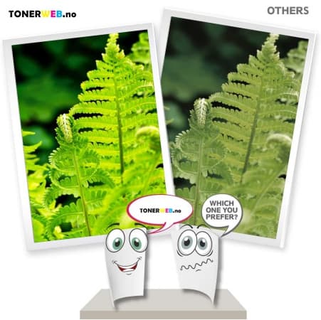 Epson Blekkpakke (T0801,T0802,T0803,T0804,T0805,T0806) (13 ml) - Erstatter T0807 (1 stk.)