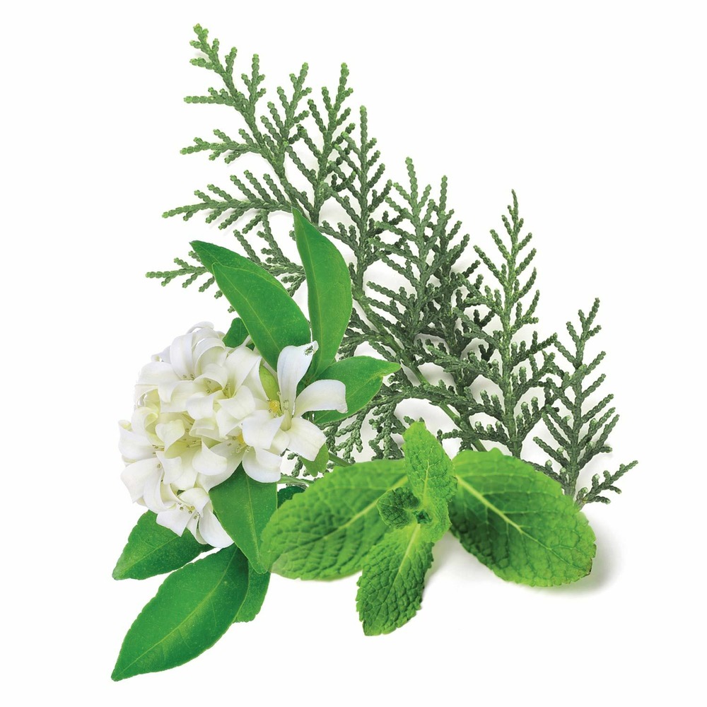 Parfum pour savon - réveil tonique 27 ml