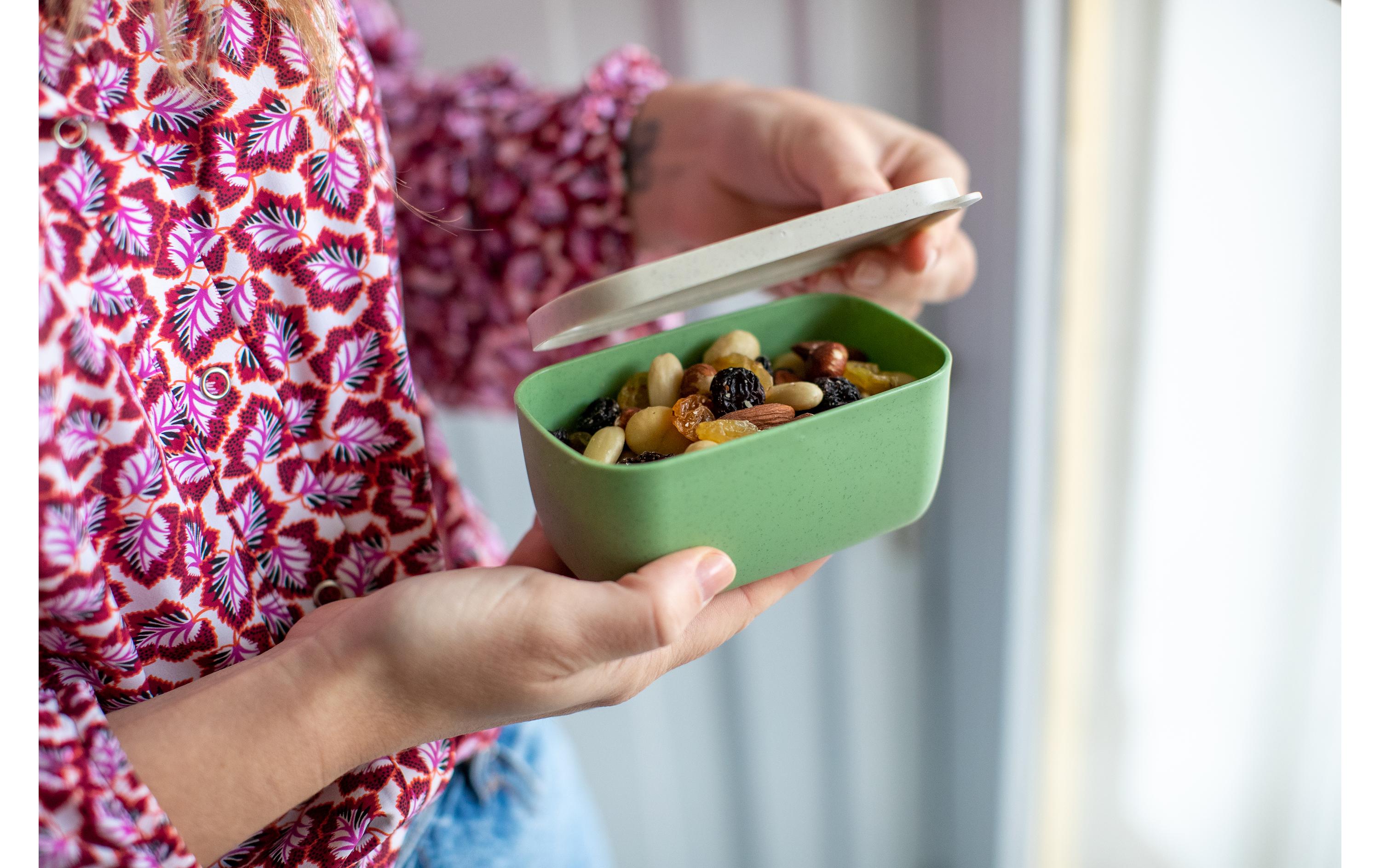 Lunchbox Candy S SandFrühstücksdose