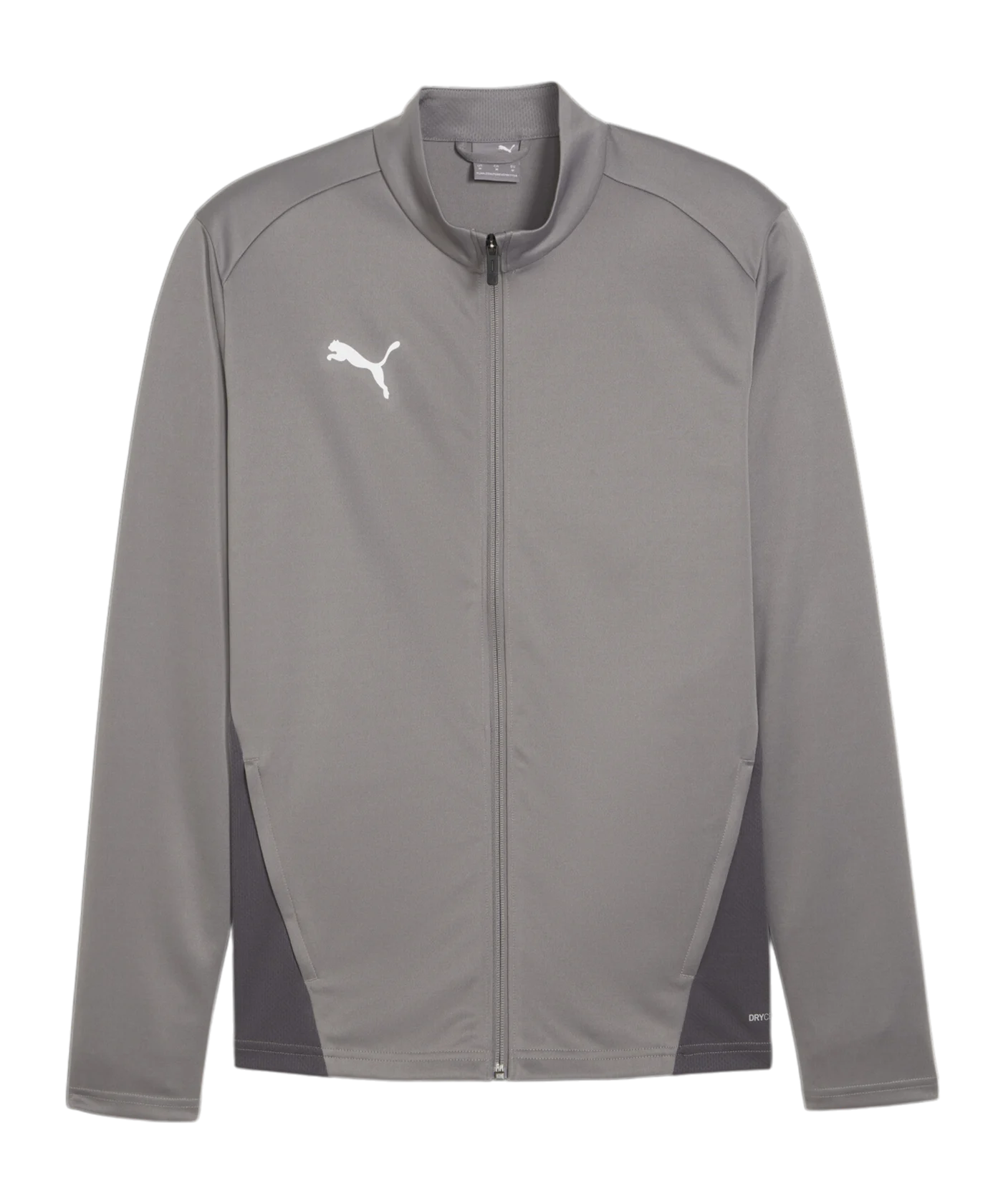 PUMA teamGOAL Trainingsjacke Grau F13