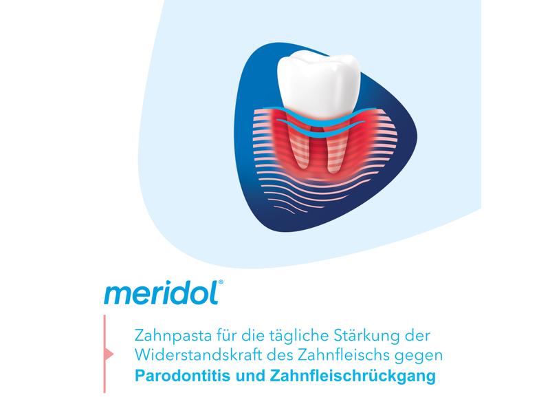 meridol Zahnpasta Parodont Expert 75 ml Zahncreme bekämpft die Ursache von Zahnfleischbluten und Parodontitis