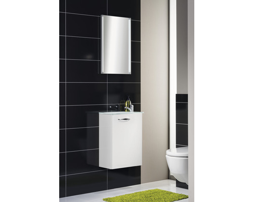 FACKELMANN Meubelwastafel 45 cm Glas Wit
