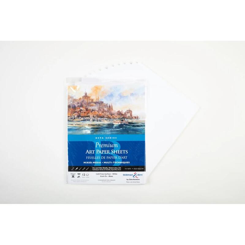Sachet 12 feuil Bêta 270g - 27,9x35,5cm - Blanc