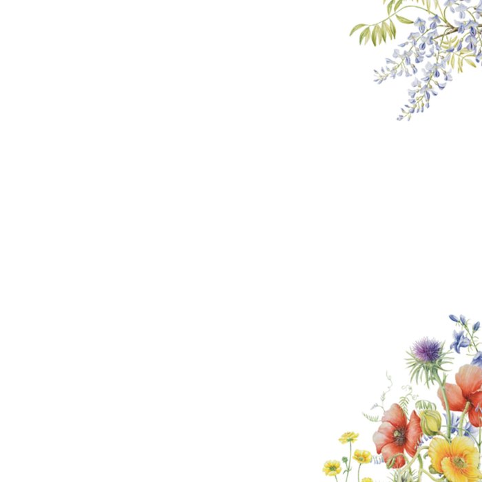 Janneke Brinkman | Bloemen | Uitnodiging