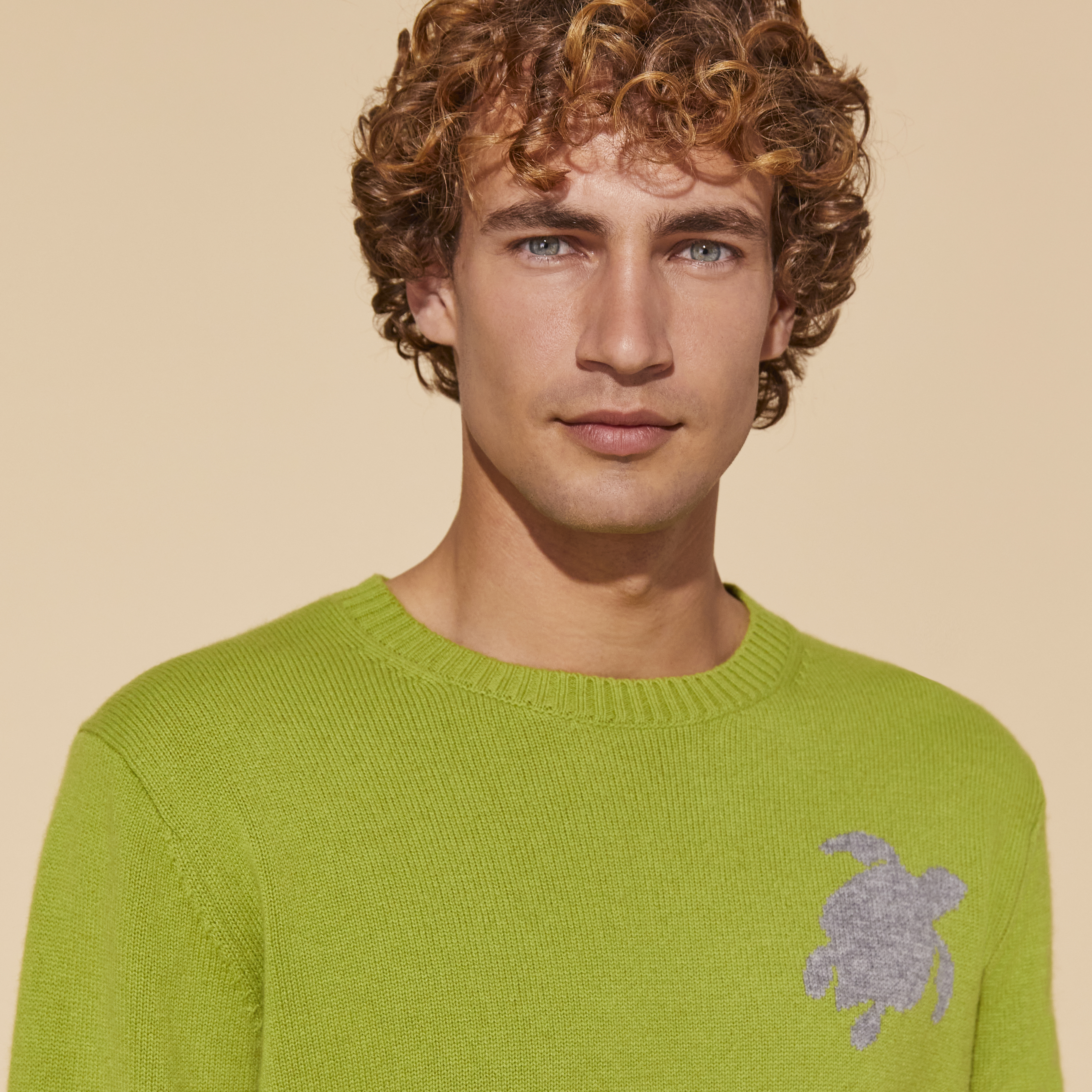 Pullover en Laine et Cachemire Ras-du-cou Homme Tortue