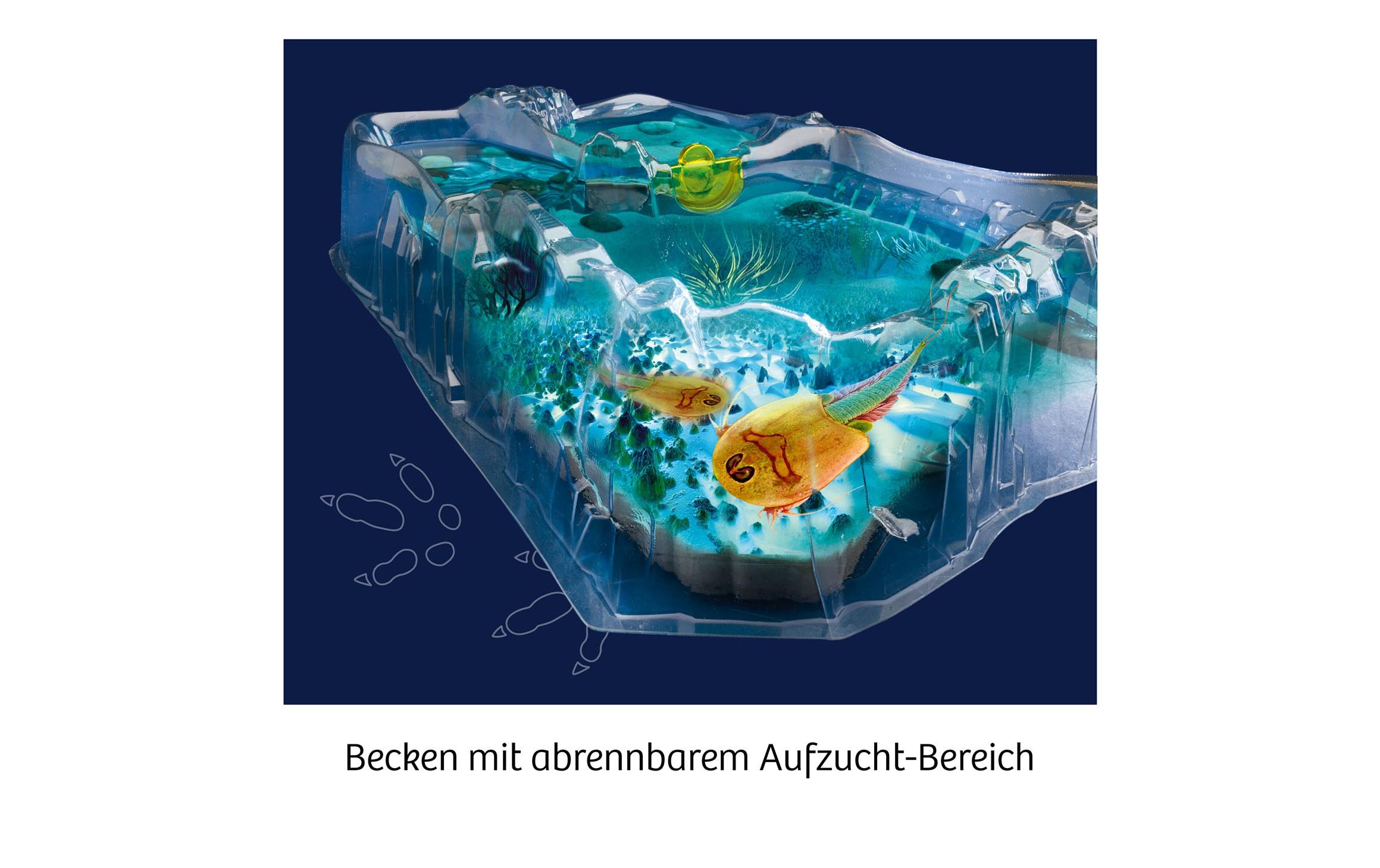 Experimentierkasten Fun Science – Triops züchtenErleben Sie die Krebse aus der Urzeit!