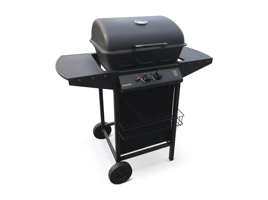 Barbecue au gaz - Aramis - Cuisine extérieure 2 brûleurs avec tablettes latérales et thermomètre