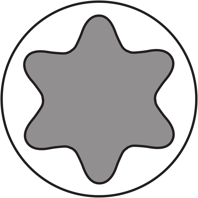 Dynaplus beslagschroeven verzinkt 4,5x40mm TX25 zwarte kop