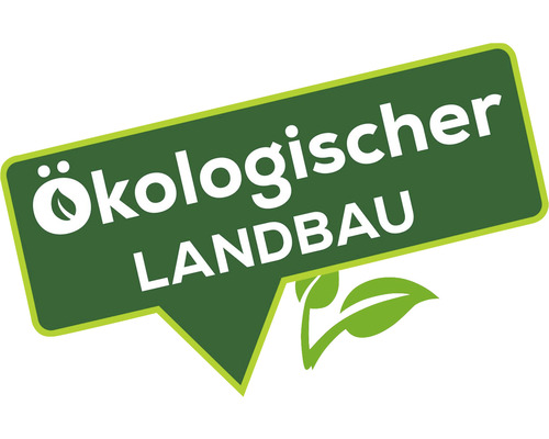 Plantenversterkende paardenstaartafkooksel Solabiol 1 L puur plantaardige ingrediënten