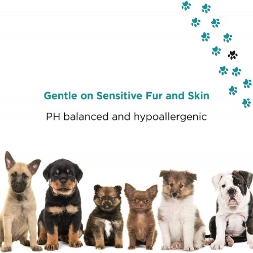 Shampoo Bio PETUCHI 6 Essentials com Aroma de Neem para Cães
