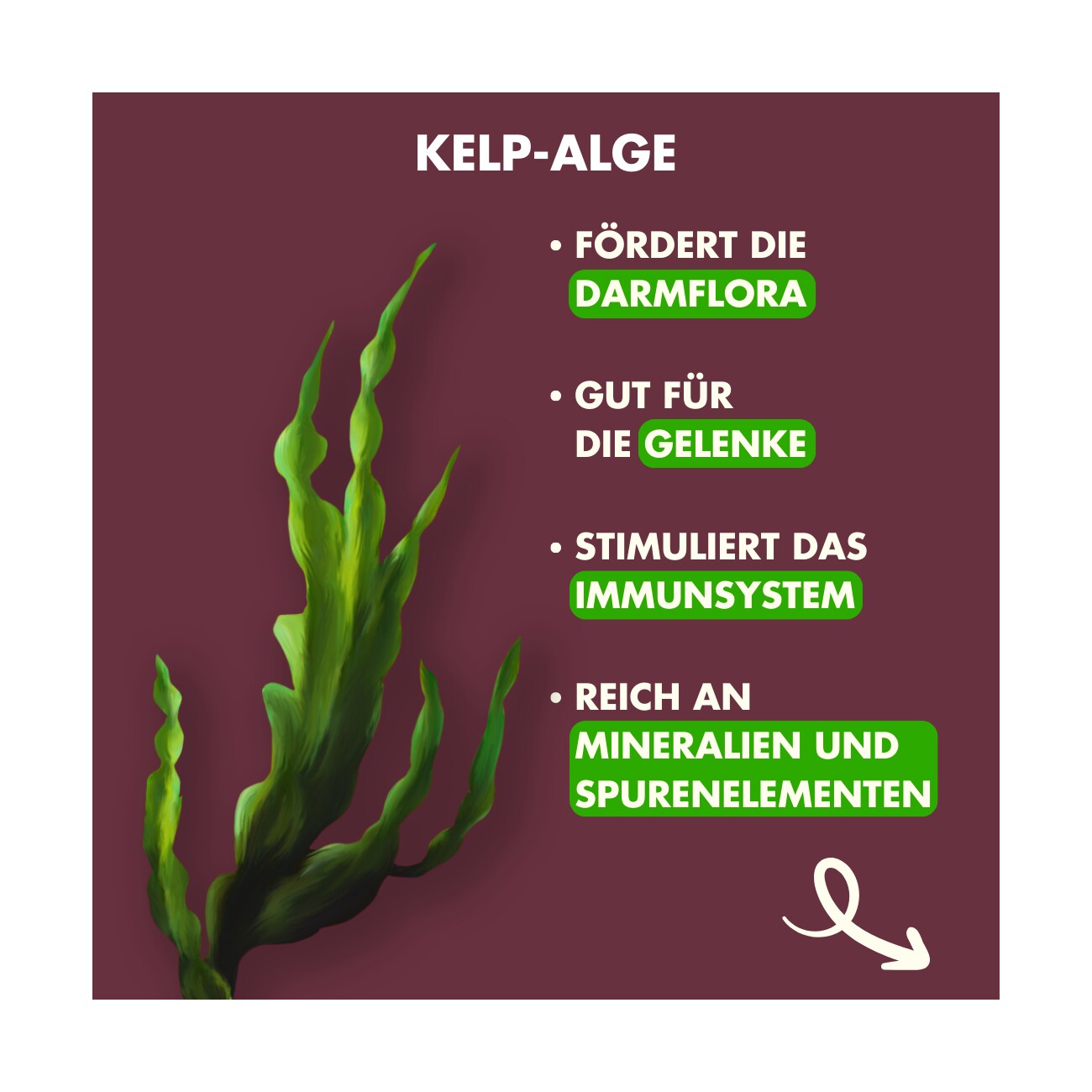 Irish Pure Beef Bites mit Kelp-Alge