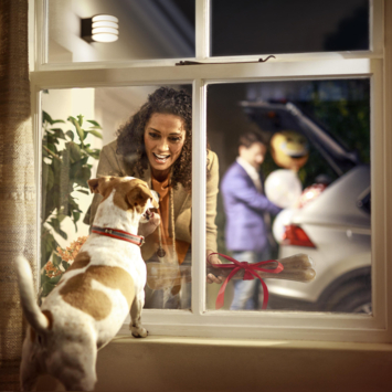 Philips Hue muurlamp Lucca antraciet - warmwit licht 9W