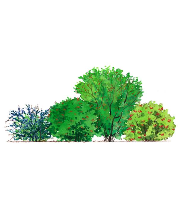 Vogelschutzhecke Stieglitz, 4-teilig