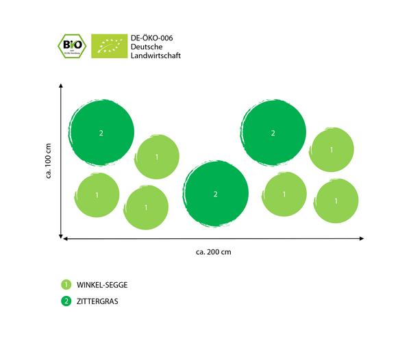 Bio Bodendecker Gräser-Set Grüne Oase,