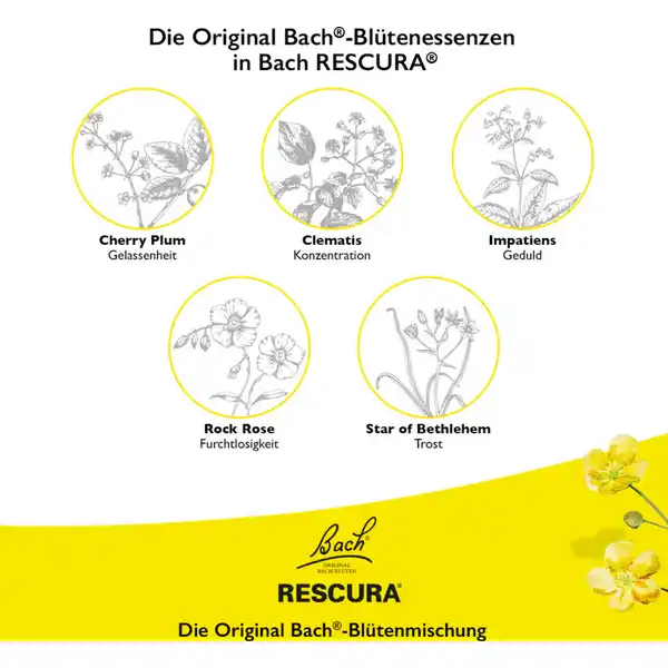 Bachblüten Tropfen alkoholfrei