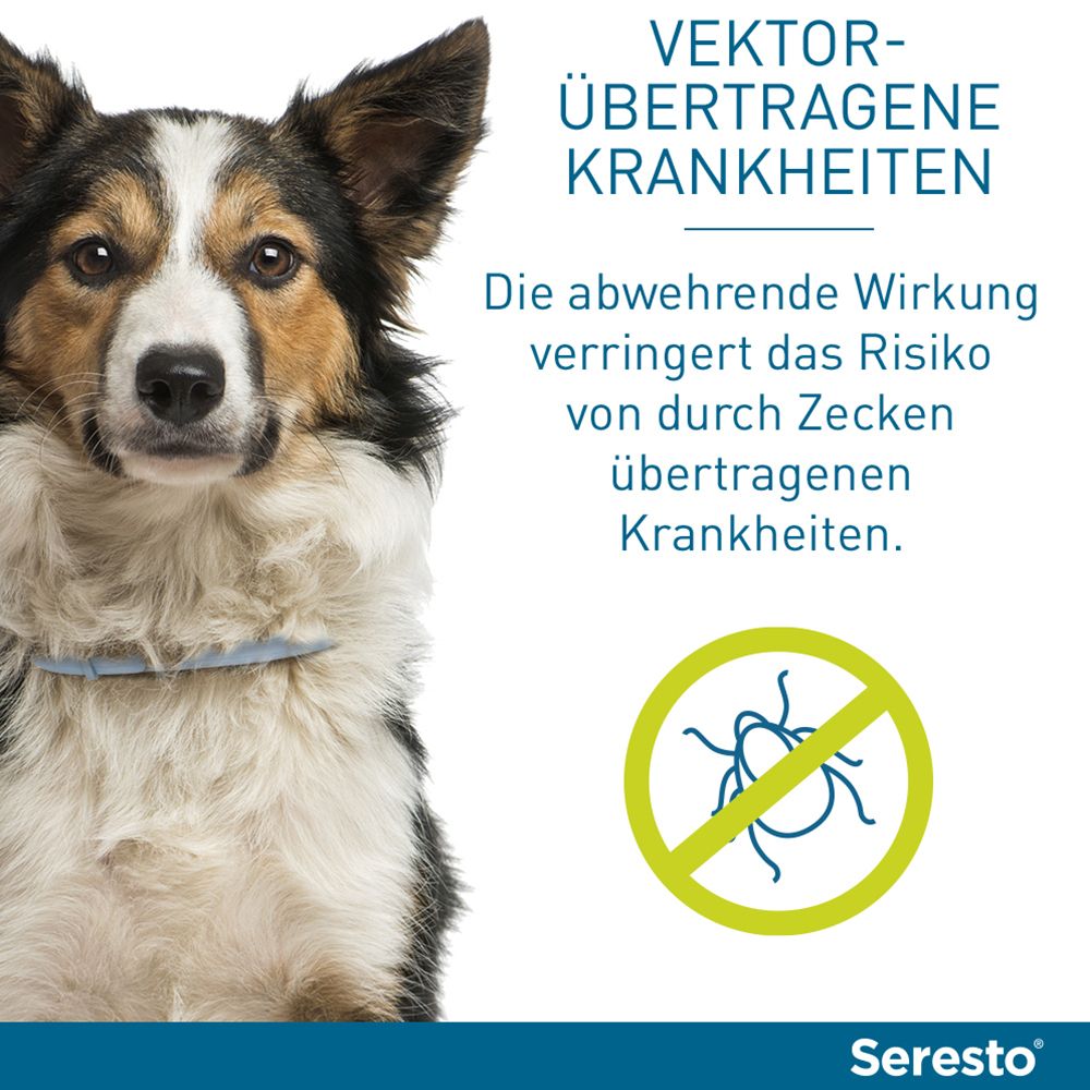 Seresto® Halsband für kleine Hunde bis 8 kg