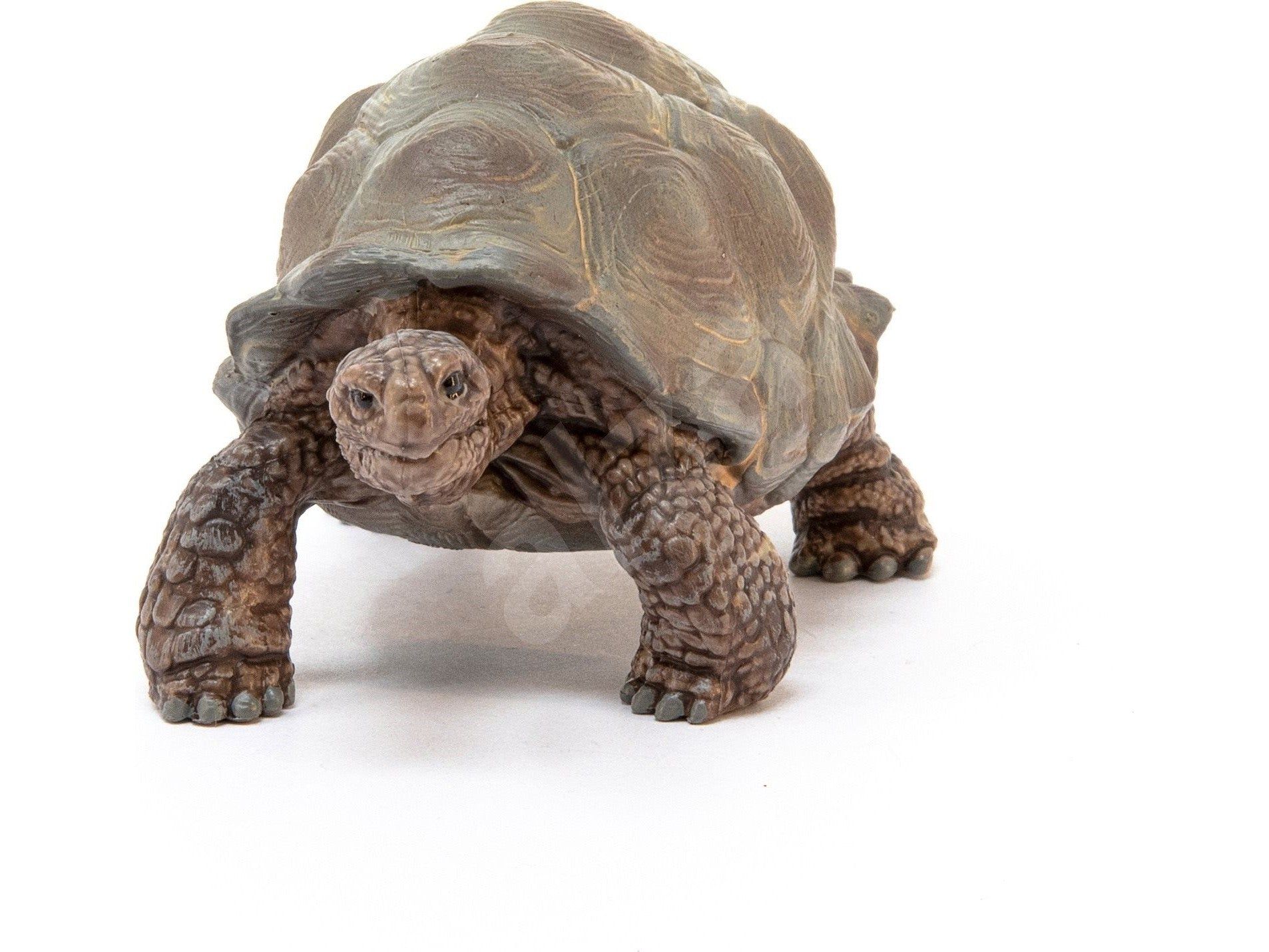 Schleich Safari - Riesenschildkröte