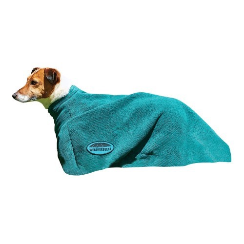 Toalha verde para cachorro