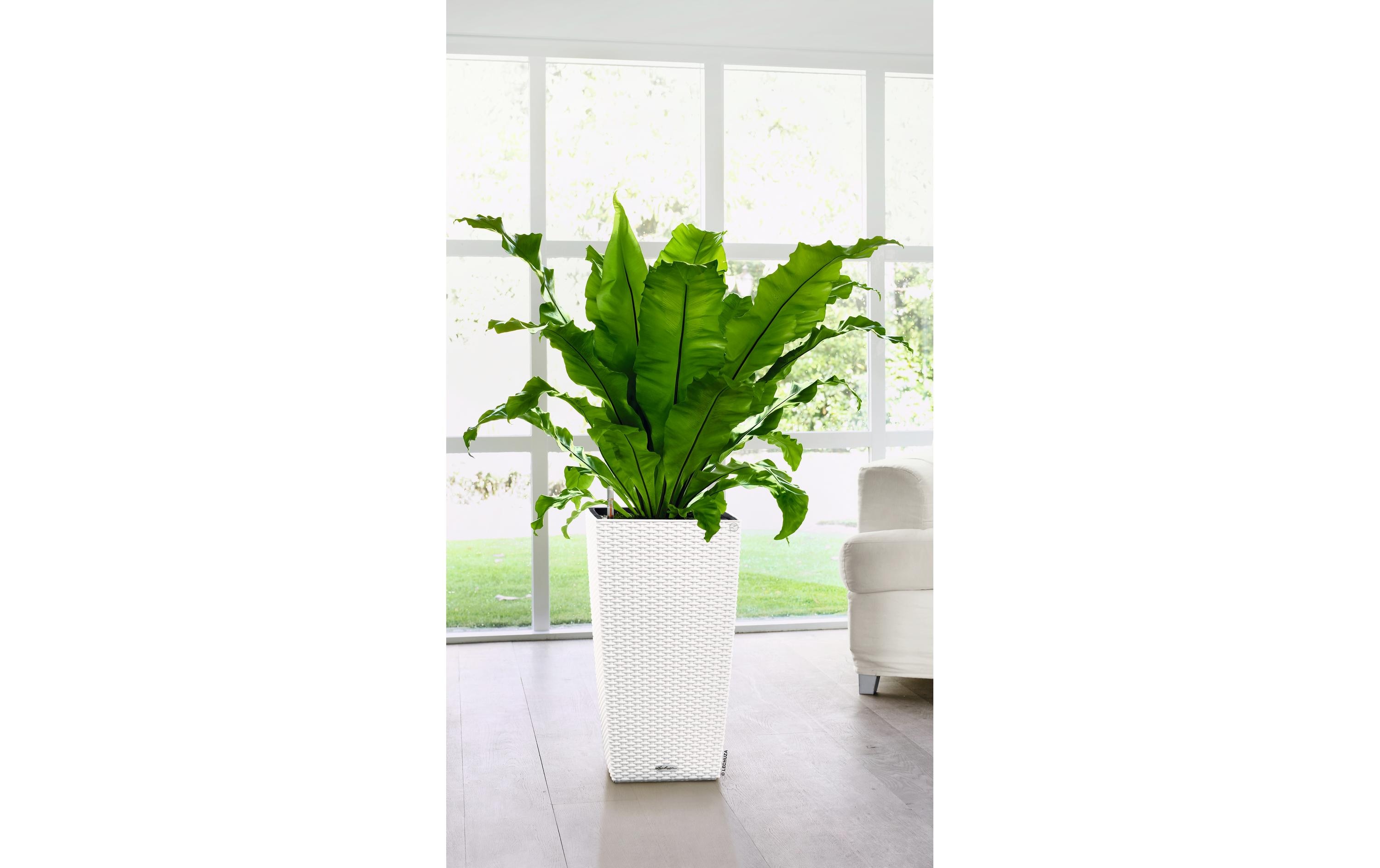 Blumentopf Cubico Cottage 30 WeissPflanzengefäss, weiss