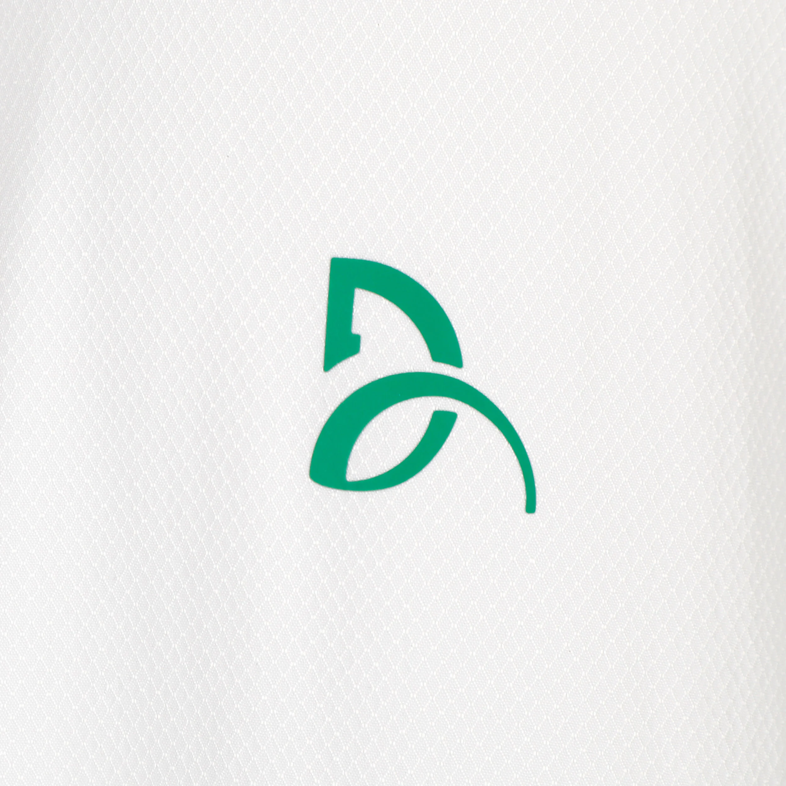 Lacoste Survêtement Hommes - Blanc , Vert