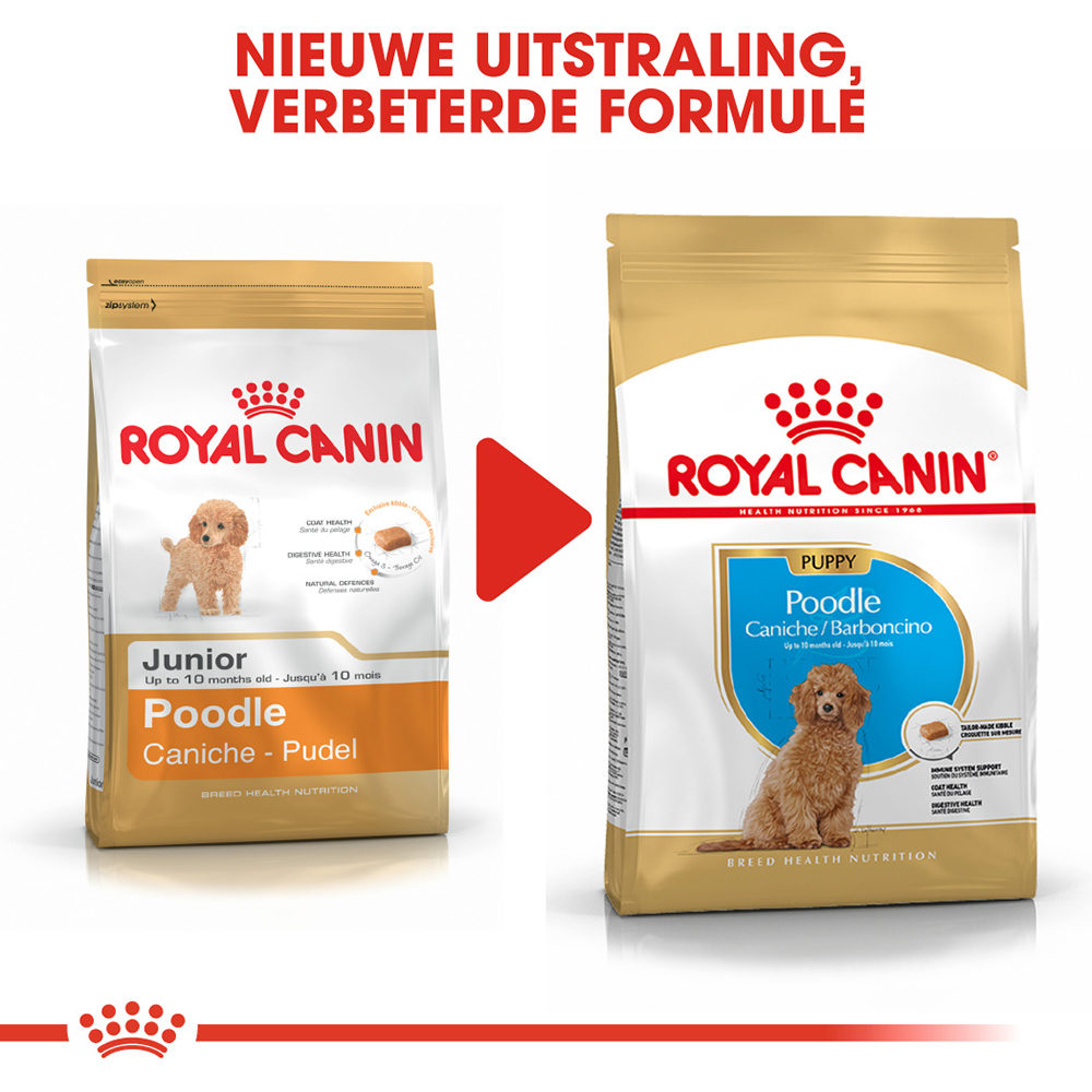 Royal Canin Poodle Puppy - Hondenvoer